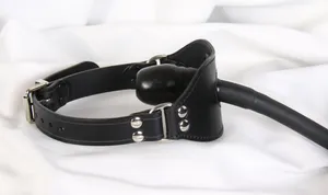 gag harness