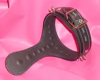 Leather O-Collar