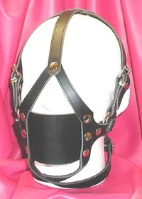 Leather Panel Gag