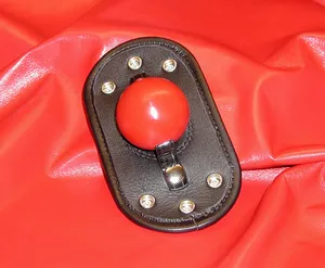 ultimateballgag11.JPG