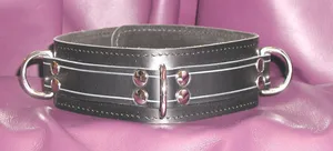 standard collar1.JPG