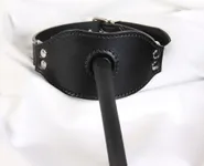 gag harness