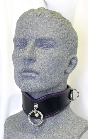 V collar.JPG