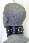 Posture Collar 2