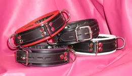 heavyweight collars.JPG