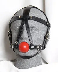 Ball Gag Harness