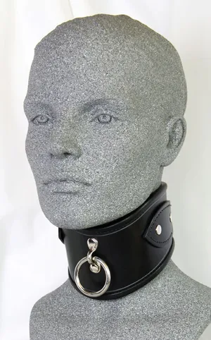 Posture Collar