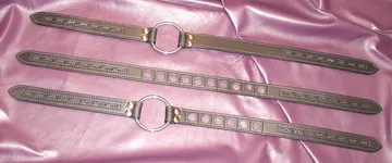 Butt Plug Harness 3