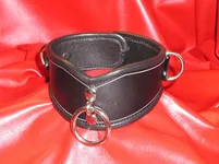 resize V  collar 1.JPG