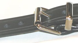 Traditional Buckle