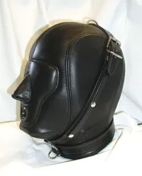 Oblivion Security Head Cage