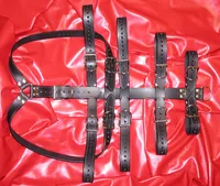 Strap Armbinder Restraint