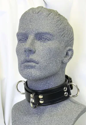 h-weight collar.JPG