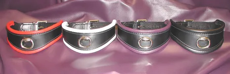 Leather Slave Collar 2