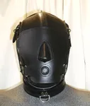 head cage front 1 .JPG